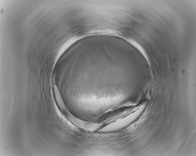 X0000086941389200705071407