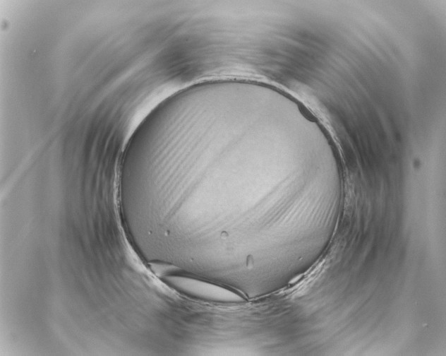 X0000086941390200705071407