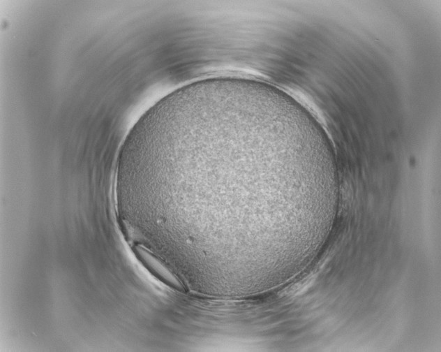 X0000086941391200705071407