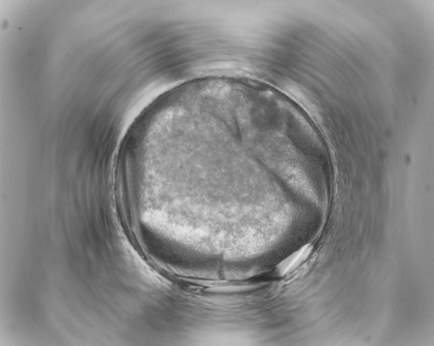 X0000086941392200705071407