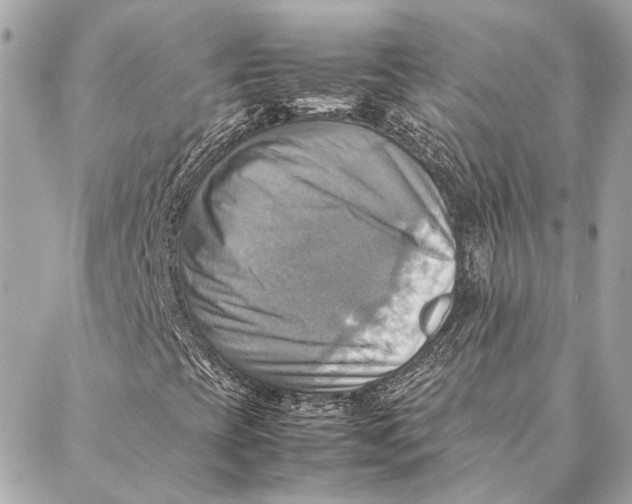 X0000086941393200705071406