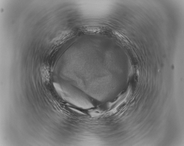 X0000086941394200705071406