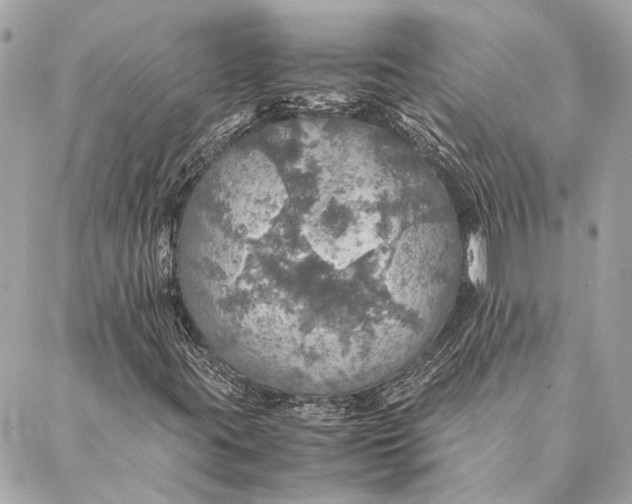 X0000086941395200705071406