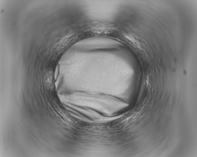 X0000086941396200705071406