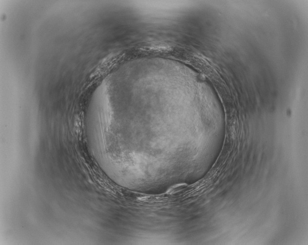 X0000086941397200705071406