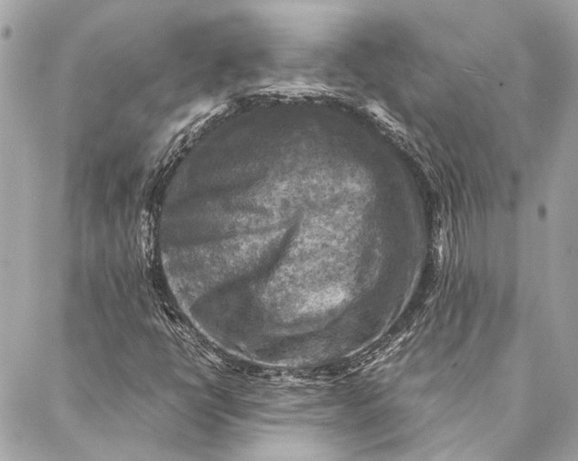 X0000086941398200705071406