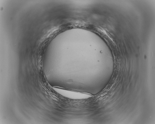 X0000086941399200705071406