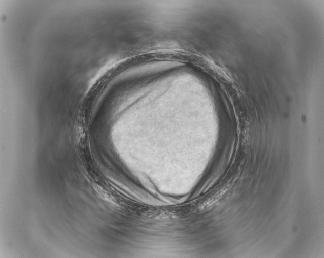 X0000086941400200705071406