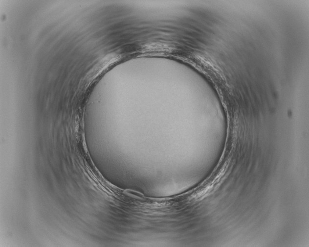 X0000086941401200705071406