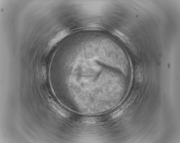 X0000086941402200705071406