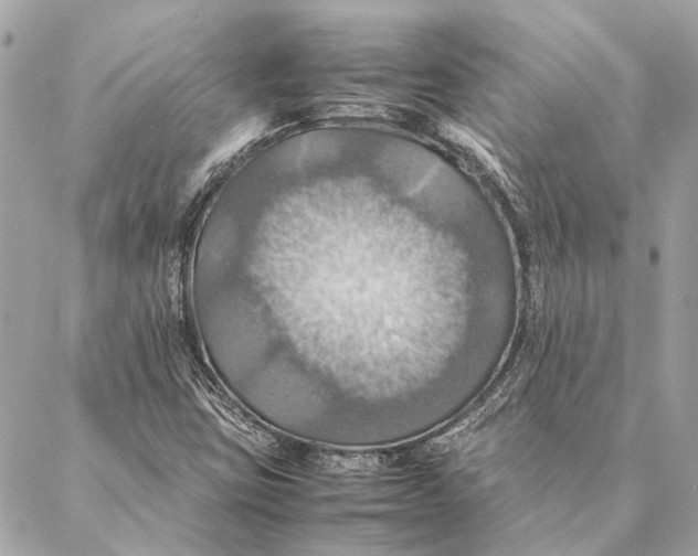 X0000086941403200705071406