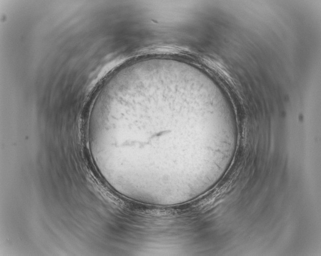 X0000086941404200705071406