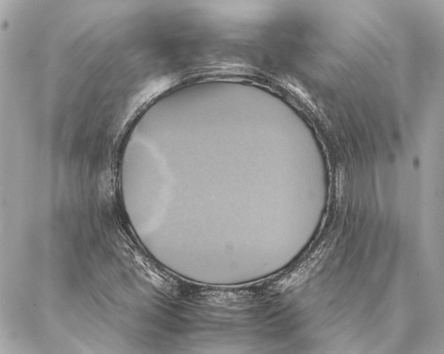 X0000086941405200705071406