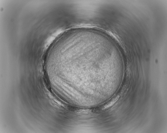 X0000086941406200705071406