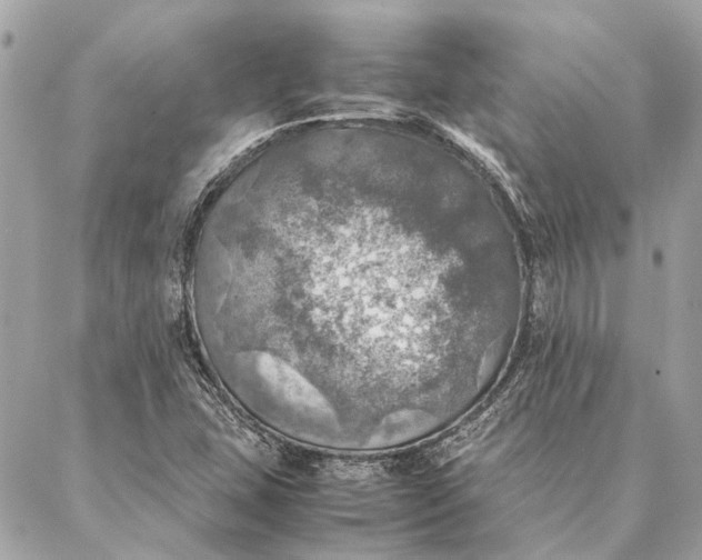 X0000086941407200705071406