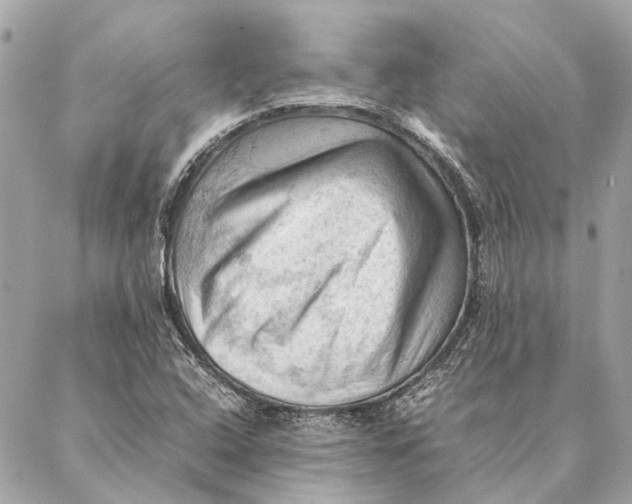 X0000086941408200705071406