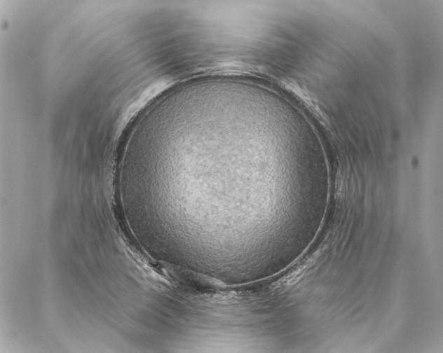 X0000086941410200705071406