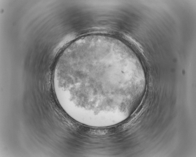 X0000086941411200705071406