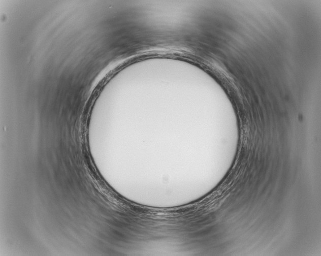 X0000086941412200705071406