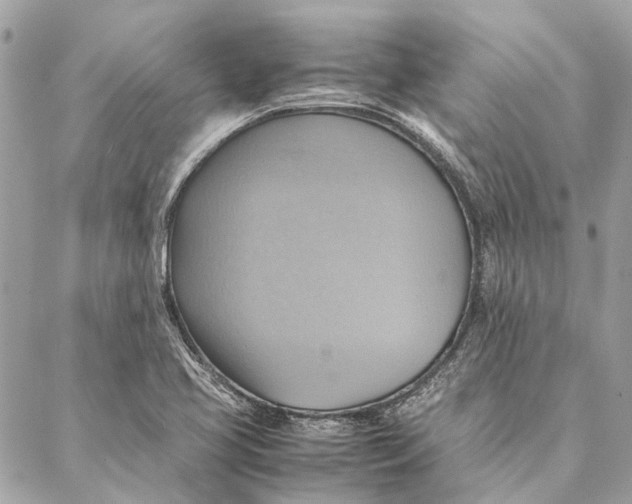 X0000086941413200705071406