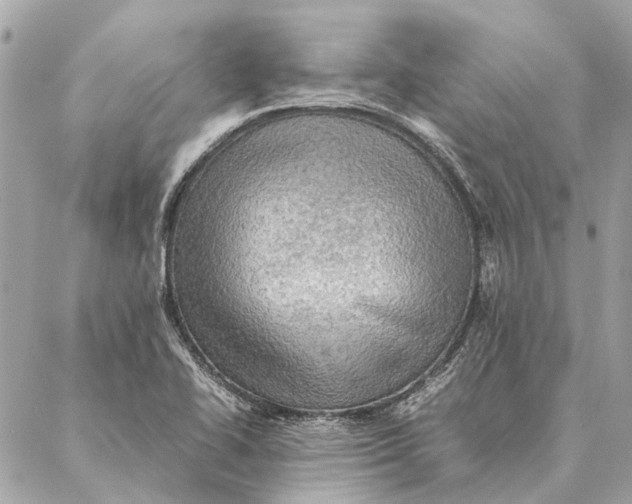 X0000086941414200705071406