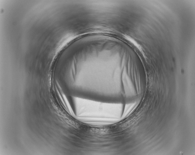 X0000086941415200705071407