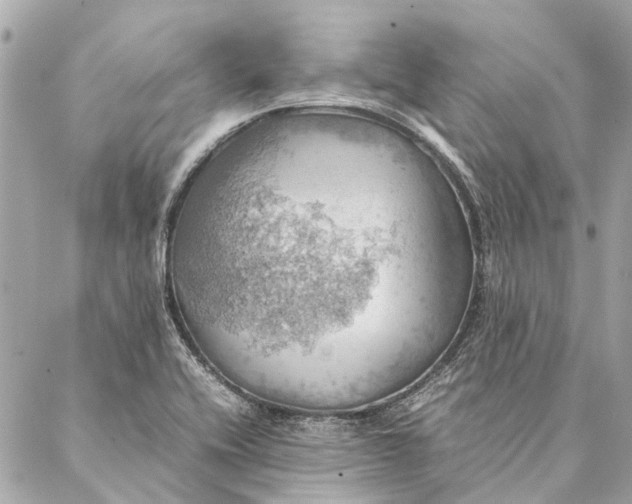 X0000086941416200705071407