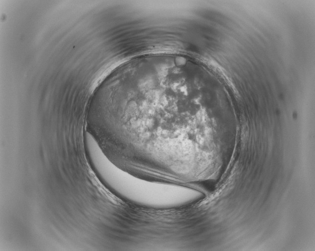 X0000086941417200705071407