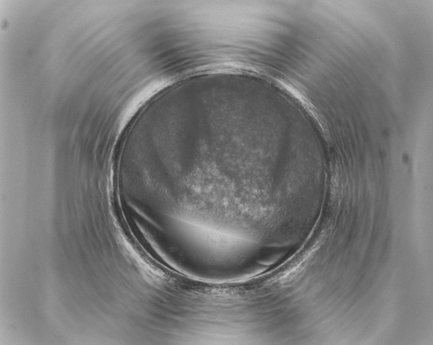 X0000086941418200705071407