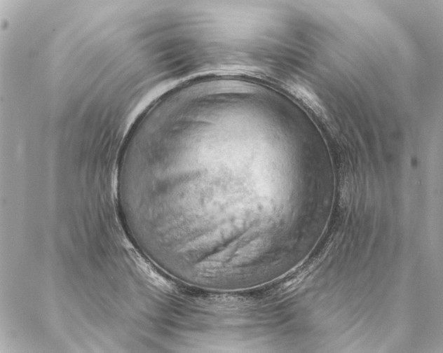 X0000086941420200705071407