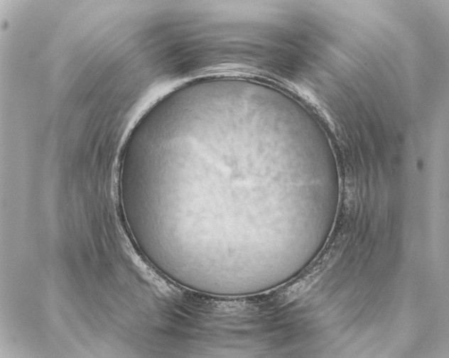 X0000086941421200705071407