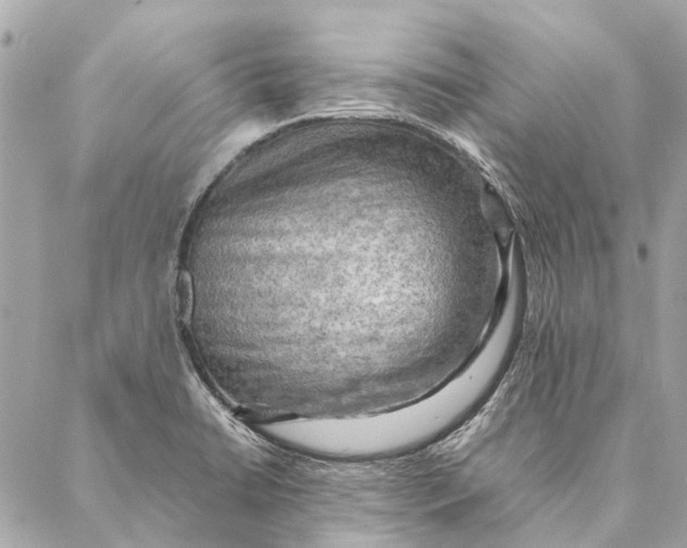 X0000086941422200705071407