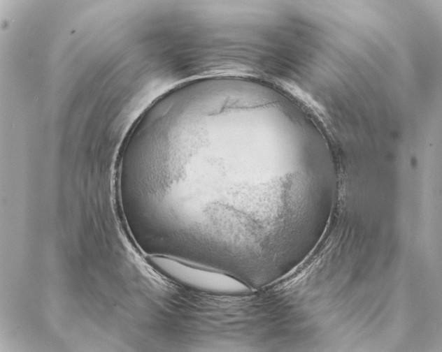 X0000086941423200705071407