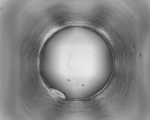 X0000086941424200705071407