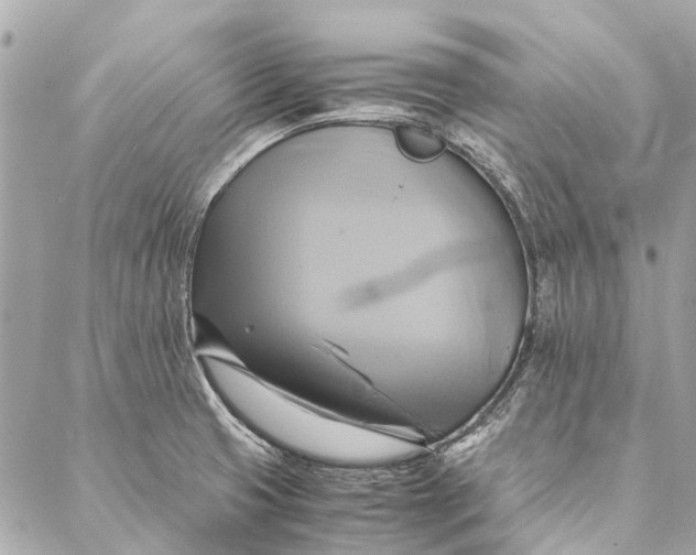 X0000086941425200705071407