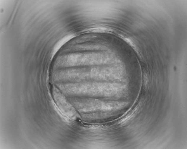 X0000086941426200705071407