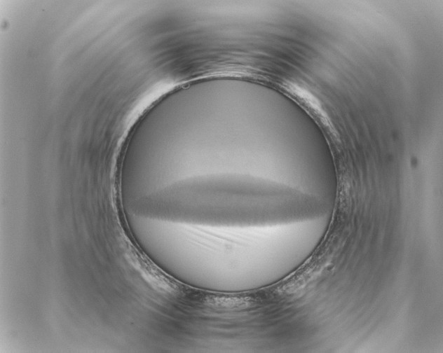 X0000086941427200705071407