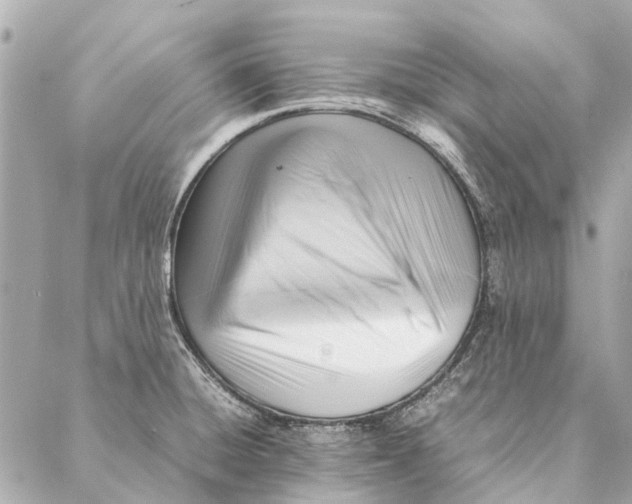 X0000086941428200705071407