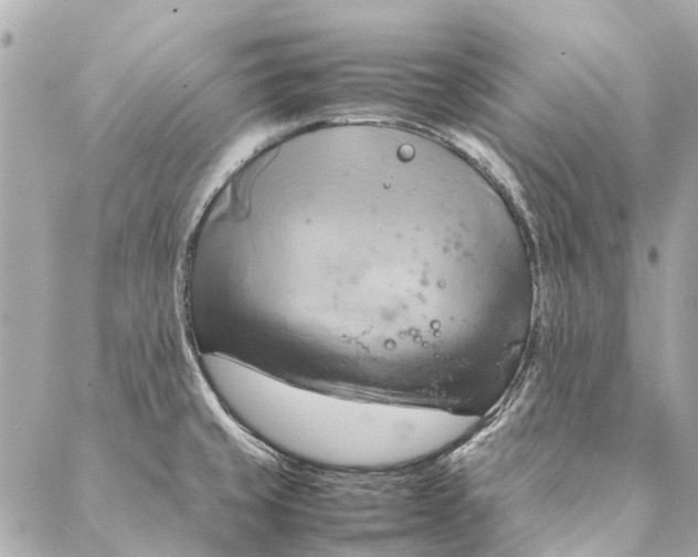 X0000086941429200705071407