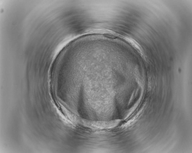 X0000086941430200705071407