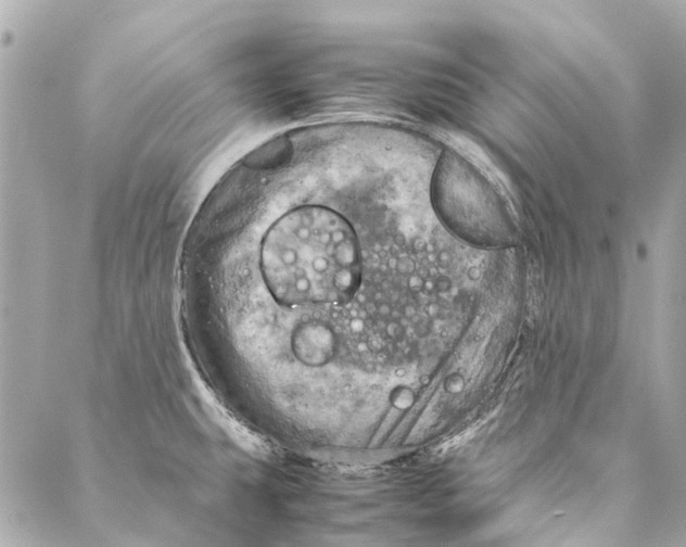 X0000086941431200705071407