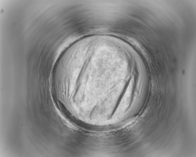 X0000086941432200705071407