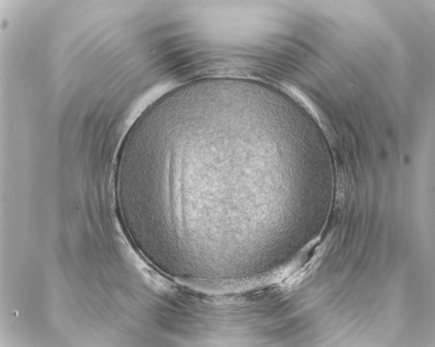 X0000086941434200705071407