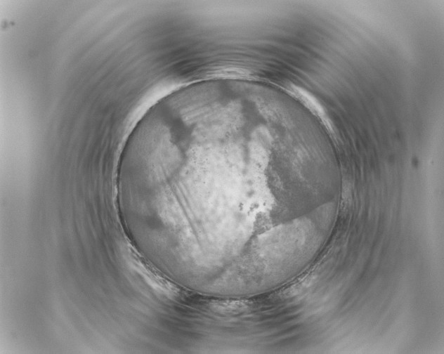 X0000086941435200705071407