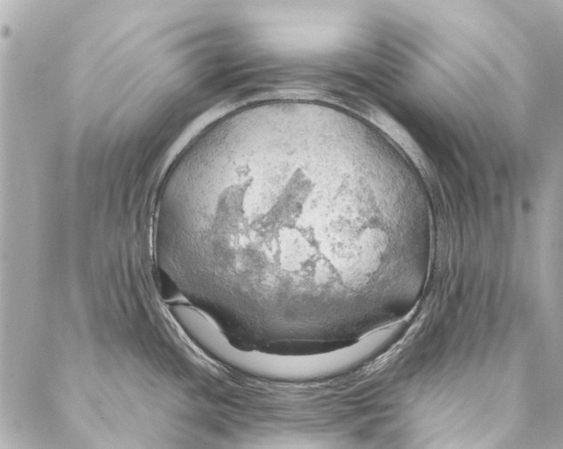 X0000086941436200705071407