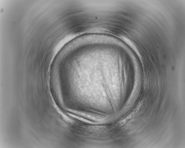 X0000086941437200705071407