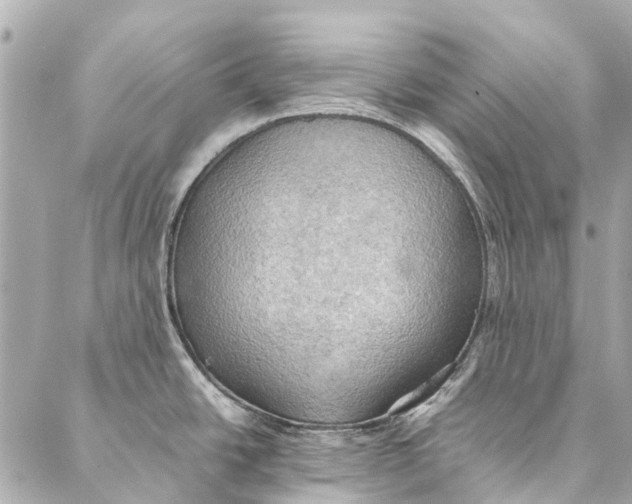 X0000086941438200705071407