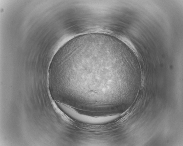 X0000086941439200705071407