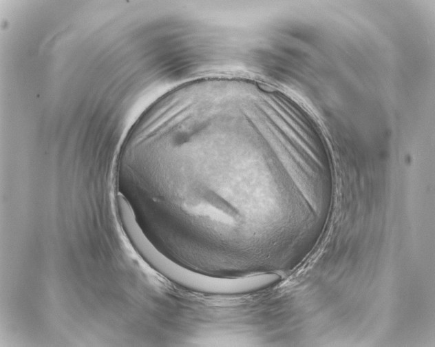 X0000086941440200705071407