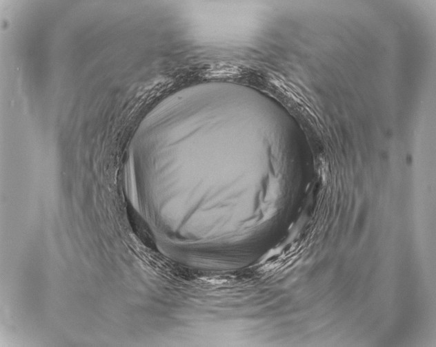 X0000086941441200705071406